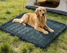 Golden retriever resting on the Ironbark RoadDeck Comfort Mat while camping outdoors